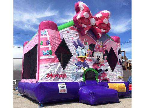 Minnie and Daisy Bounce House rental