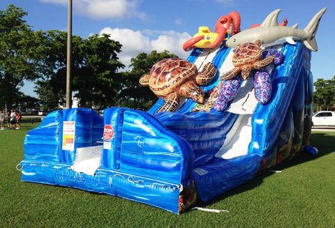Sea Water Slide rental