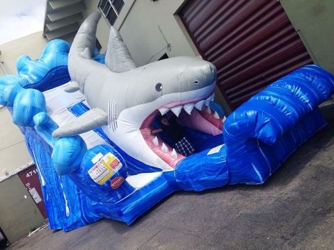 Shark Inflatable Slide rental