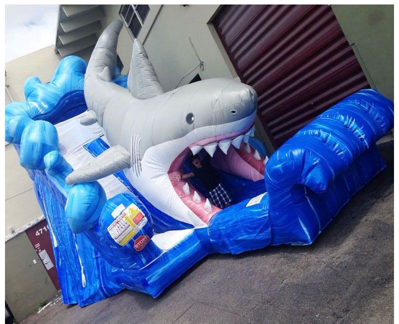 Shark Water Slide rental in Miami, Broward and Palm Beach