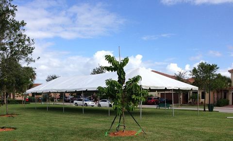 Tent rental